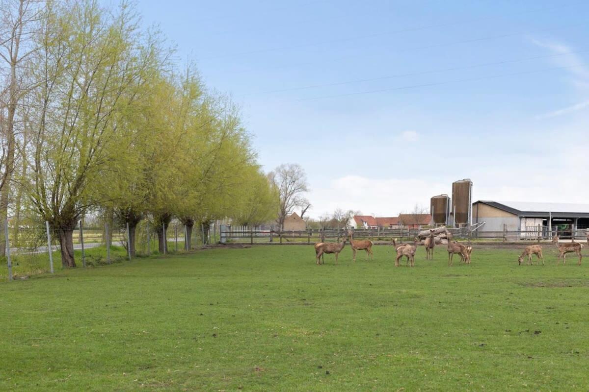 Huswell - Family House With A Beautiful View In Damme Villa Brugge Eksteriør billede